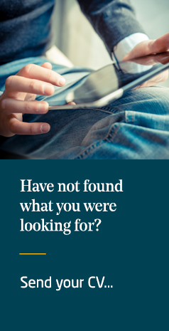 Haven't found what you're looking for?